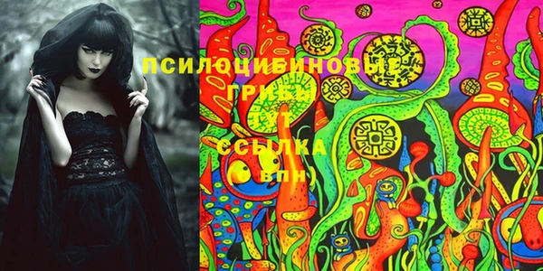 спайс Алексин