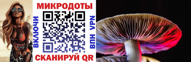 Купить где  Таштагол  Псилоцибиновые грибы мицелий 
